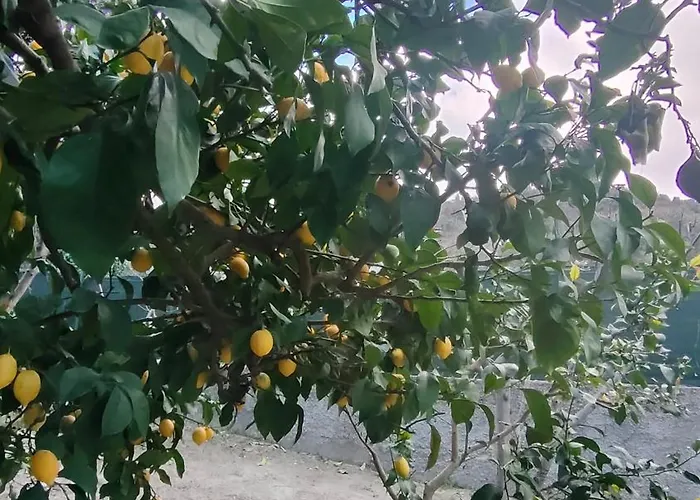 בית כפרי A In Relax 